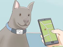 Accurate content you can trust, spreading knowledge on the animal kingdom, and giving back. How To Find A Lost Dog With Pictures Wikihow