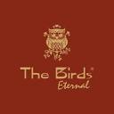 The Birds Eternal (@thebirdseternal) • Instagram photos and videos