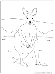 11 Rustique Kangourou Coloriage Images Coloriage Kangourou Kangourou Dessin Image Coloriage