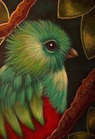 Quetzal Bird In My Fantasy Garden Bird Drawings Bird Art Quetzal Tattoo Do your best to draw the. bird drawings bird art