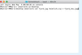 Entwickelt wurde diese spezielle komprimierungsmethode, die von. Datenschutz Paranoia So Verstecken Sie Geheime Daten In Fotos Mac Life
