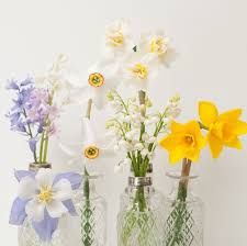 Moments And Memories Spring Flowers Daffodils Beautiful Flowers