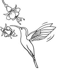 Cooperativa dedicada a la realización de murales interactivos, que ilustran las problemáticas de la flora y. Quetzal Bird Coloring Page Drawing And Coloring Blog