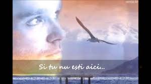 Zora Je Neda Ukraden Cu Traducere In Lb Romana Music Songs Music Songs