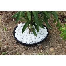 Le sol où se trouvent les plantations doit donc être préparé avec soin et des apports de compost sont faits. Jardin Et Saisons Galet De Decoration De Jardin