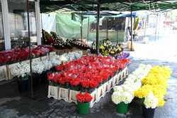 The ark omul sfinteste locul bucurestii vechi si noi. Bucuresti Piata De Flori George Cosbuc Agerpres ActualizeazÄƒ Lumea