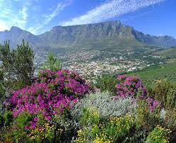 Table Mountain South Africa In 2020 South Africa Travel Cape Town South Africa Table Mountain Cape Town