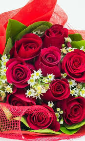 Pin By Dd Nd Nd Dd D D Ndµd Dºd On Cvety Beautiful Rose Flowers Red Rose Bouquet Beautiful Red Roses