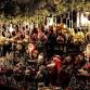Buffalo Christmas Tour: Iconic Holiday Lights & Markets