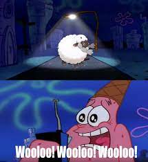 Patrick Star Weewoo But Its Wooloo Pokemon