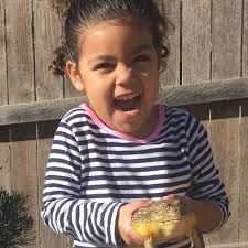 The 3 Best Animal Entertainers for Hire in Mesquite, TX