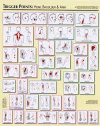 Trigger Points Chart 2 Legge Trigger Points Massage