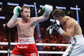 If Ufc'S Usman Secures A Boxing Match With Canelo, He'D Be A Winner Before  It Began | Cbc Sports