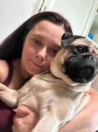 Lost cat Hades in Catherwood apartments