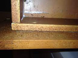 We did not find results for: How Would You Like Your Utensil Drawer In Your Kitchen To Look Like This The Speckles On This Kitchen Drawer A Cockroach Control German Cockroach Pest Control