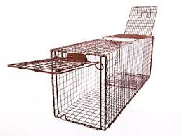 30ltd Light Duty Animal Trap In 2020 Animal Traps Cat Traps Small Pets