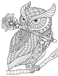 Wichtig ist aber immer, dass die angebotenen malvorlagen kindgerecht aufgemacht sind. 55 Frisch Ausmalbilder Eule Stock Owl Coloring Pages Animal Coloring Pages Coloring Pages