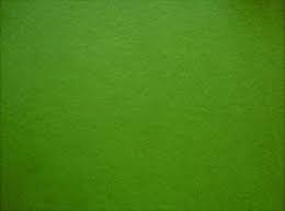 Am einfachsten erhalten sie das originelle kaktus kostüm zum karneval, indem wie in der anleitung für filzblüten für das kaktus kostüm zu sehen, werden dann die einzelnen blütenblätter in mehreren reihen aneinandergeklebt. Kaktus Kostum Selber Machen Diy Ideen Anleitung Maskerix De