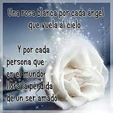 Porque les digo que en el cielo los ángeles de ellos contemplan siempre el rostro de mi padre celestial. Imagenes De Angeles Con Frases Y Mensajes