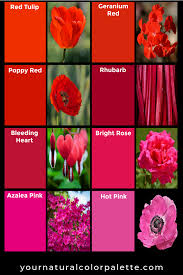 Spring Reds And Pinks Spring Color Palette Spring Red Winter Color Palette