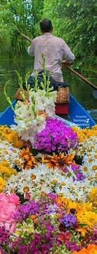 Pin By Rocio Jarabo 1 On Bright Beautiful Colors Floating Flowers Flower Market Thailand Travel