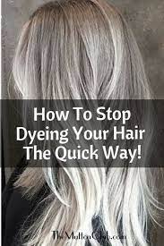 How To Stop Dyeing Your Hair The Quick Way The Mutton Club Transition To Gray Hair Grey Hair Dye Dying Gray Hair
