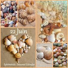 Ephemeride Seasonal Calendar Seasons Vegetables Garlic