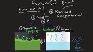 Jawablah pertanyaan berikut ini dengan berdiskusi bersama kelompokmu. Peristiwa Apa Saja Yang Terjadi Pada Teks Siklus Air Dan Bencana Kekeringan Youtube