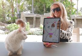 Cryptokitties is a blockchain game on ethereum developed by canadian studio dapper labs that allows players to purchase, collect, breed and sell virtual cats. Paris Hilton Auctions Her Cat S Portrait As An Nft Token On The Ethereum Blockchain Bitcoin Crypto Advice