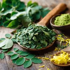 Image result for Moringa