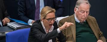 We have got 29 pic about alice weidel partnerin biel images, photos, pictures, backgrounds, and more. Bundnisse Mit Populisten Mit Solchen Leuten Konnen Demokraten Nicht Koalieren Politik Tagesspiegel