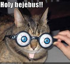 These found in the forest of south america. My What Big Eyes You Have Animal Comedy Animal Comedy Funny Animals Animal Gifs