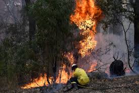 We issue fire weather warnings when conditions are likely to be dangerous. Bush Fire Conditions Worsen In Both East And West Australia As Perth Records Hottest November Day Australia Nz News Top Stories The Straits Times