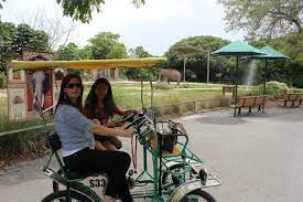 Zoo miami hakkındaki 4.672 yorumun tümüne bakın. Zoo Miami Review Must Read Before Visiting Usa For Foreigners