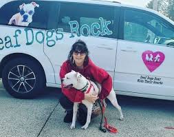Out now on dvd and digital in canada! Deaf Dogs Rock Sharing Our Passion For The Love And Care Of Deaf Dogs