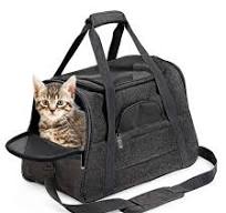 Customize OEM ODM Portable Luxury Outdoors Travel Pet Dog Carrier