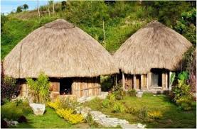 Gambar pakaian adat papua kartun surat kabar. Cara Menggambar Rumah Adat Honai Gambaryuk