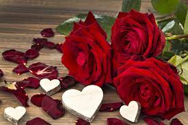 1920x1080 best hd wallpapers of flowers, full hd, hdtv, fhd, 1080p desktop backgrounds for pc & mac, laptop, tablet, mobile phone. 1712 Red Flower Hd Wallpapers Background Images Wallpaper Abyss