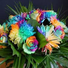 Pin On Multi Color Flowers