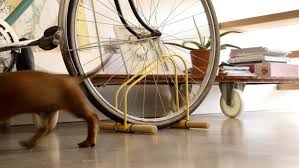 Duda sobre casa y bicis. Wao Bike Stand Diseno Valenciano Para Llevar Un Parking De Bicis A Casa Valencia Plaza