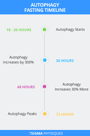 For example, human studies of intermittent fasting found that it improved such disease indicators as insulin resistance, blood fat abnormalities, high blood pressure and inflammation, even independently of weight loss. Autophagy Fasting Timeline Water Fast Results Water Fasting Intermittent Fasting Results