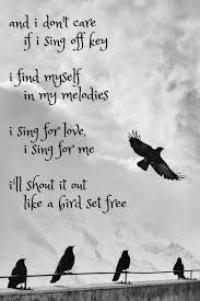 Not being ready to settle down. Bird Set Free Sia Singing Quotes Singing Quotes Funny Music Quotes