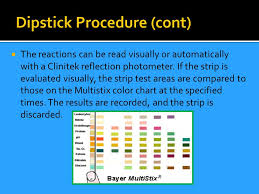 Visual Exam A Laboratory Technician Will Examine The Urines