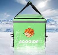 Customize Insulated Pizza and Thermo Bags for Food Delivery Backpack  Commercial Motorcycle Fast Food Delivery Bags