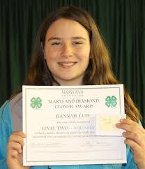 4-H'ers recognized at Achievement Day