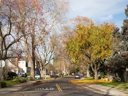 Maybe you would like to learn more about one of these? How Did Sacramento Get So Many Trees Capradio Org