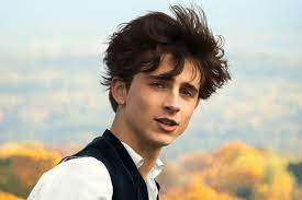 Timothee chalamet (born december 27, 1995) is a renowned american actor known for his roles in we have included the information on timothee chalamet age, height, weight, bio, net worth. F6oecncpncsd0m