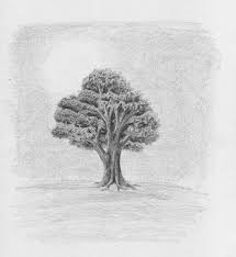 ___ eiche ist ein typischer baum in unseren walder. Laub Baum Zeichnen Lernen Zeichenkurs