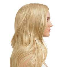 Esalon Color Profile Desired Color Esalon Hair Color Light Blonde Hair At Home Hair Color