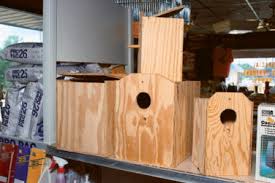 I hope i helped narrow it down a little bit. Birds Sciencedirect